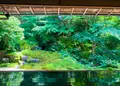 瑠璃光院の写真_431983