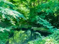 瑠璃光院の写真_431985
