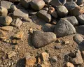 黒島の写真_432502