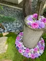 行田八幡神社の写真_432539