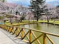 軽井沢タリアセンの写真_432906