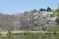 軽井沢タリアセンの写真_432908