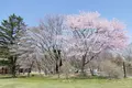 軽井沢タリアセンの写真_432909