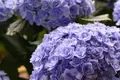 RK GARDEN POINT MAKERSの写真_432912