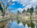 雲場池の写真_432938