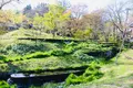 星のや軽井沢の写真_432985