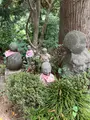 札所一番　四萬部寺の写真_433004