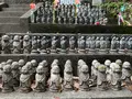 札所一番　四萬部寺の写真_433010