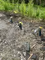 札所一番　四萬部寺の写真_433044