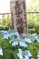 長谷寺の写真_433599