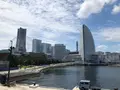 L'Antica Pizzeria da Michele 横浜(アンティーカ ピッツェリア ダ ミケーレ 横浜)の写真_433630