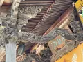 札所三番　常泉寺の写真_433937