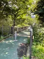 札所三番　常泉寺の写真_433947