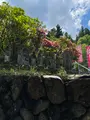 金昌寺の写真_433960