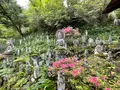 金昌寺の写真_433981