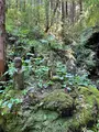 金昌寺の写真_434001