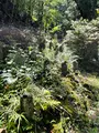 金昌寺の写真_434003