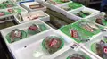 玉野魚市場の写真_434215
