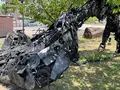 舟底の記憶（いかり）の写真_434235