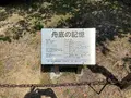 舟底の記憶（いかり）の写真_434248