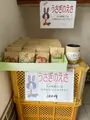 盛港の写真_434313