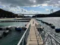 ドルフィンファームしまなみの写真_434329