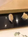 鮨 かじわらの写真_434687
