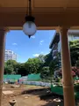 旧岩崎邸庭園の写真_434717