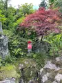 札所八番西善寺の写真_434933