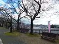 龍野城の写真_435017