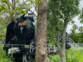 与儀公園の写真_435233