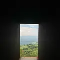霧島アートの森の写真_435550