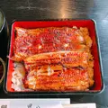 鰻 昇八の写真_435983