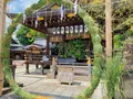 護王神社の写真_436100