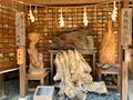 護王神社の写真_436109