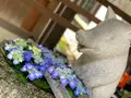 護王神社の写真_436113