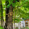梨木神社の写真_436122