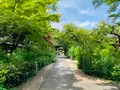 梨木神社の写真_436126