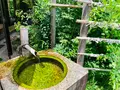 梨木神社の写真_436127