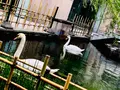 六角堂の写真_436162