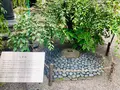 六角堂の写真_436167