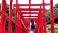 元乃隅神社の写真_436298