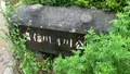 音信川河川公園の写真_436310