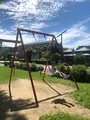 ケヤキ広場の写真_436361