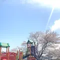 ケヤキ広場の写真_436363