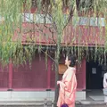 ひがし茶屋街の写真_436511