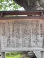 今宮坊（秩父三十四観音霊場第十四番札所）の写真_436663