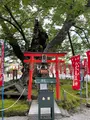 今宮坊（秩父三十四観音霊場第十四番札所）の写真_436667