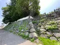中津城（奥平家歴史資料館）の写真_436771