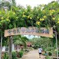 宮古島市熱帯植物園の写真_436787